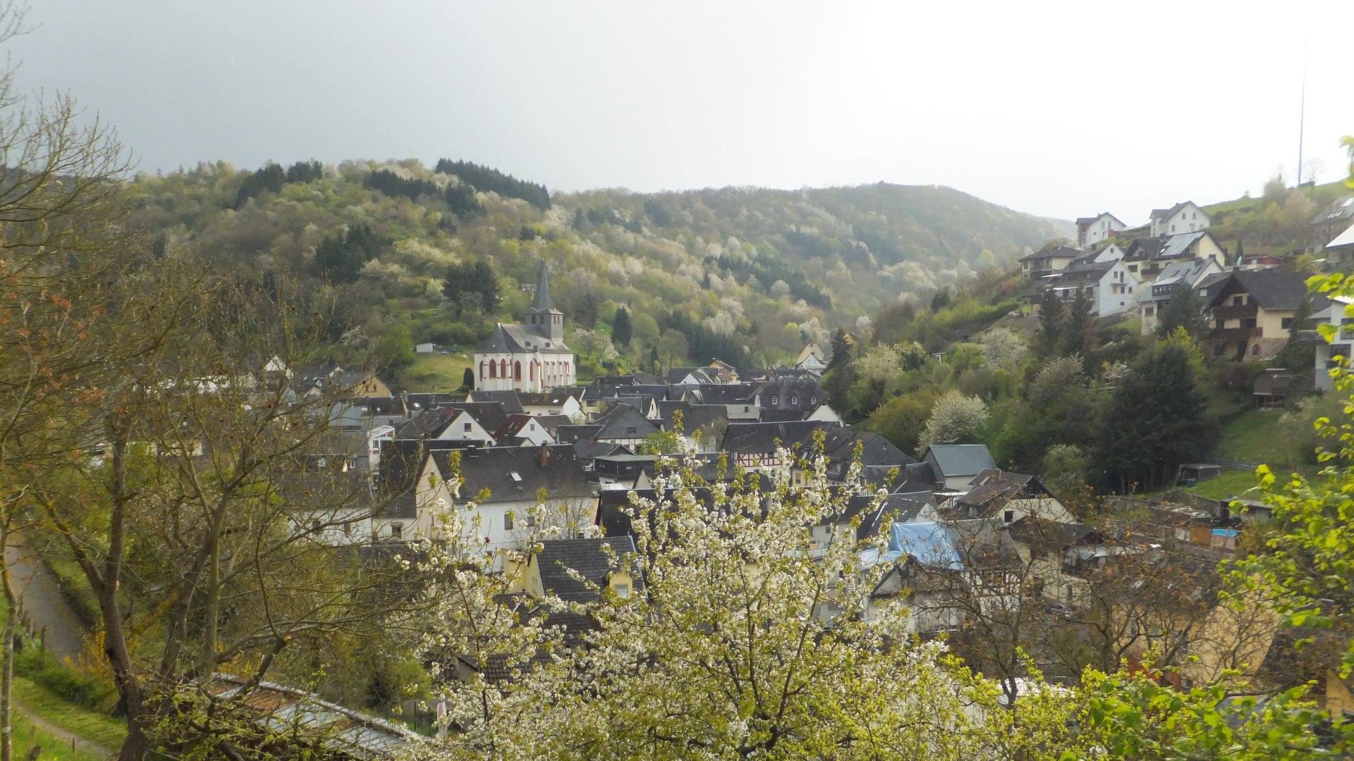 Oberdiebach | © Ch. Zimmer Oberdiebach | © Ch. Zimmer